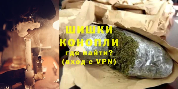 сатива Горняк