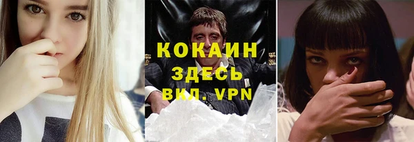 сатива Горняк
