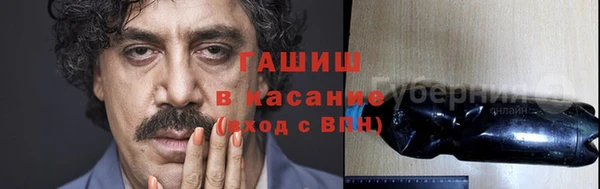 сатива Горняк