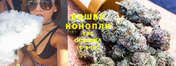 сатива Горняк