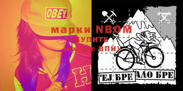 сатива Горняк