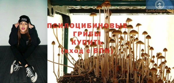 дмт Горнозаводск