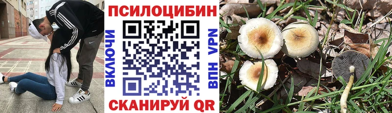 Купить  Зеленогорск  Псилоцибиновые грибы мухоморы 
